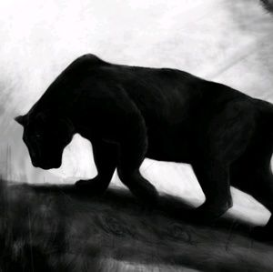 Meet your Posher, Jassamine